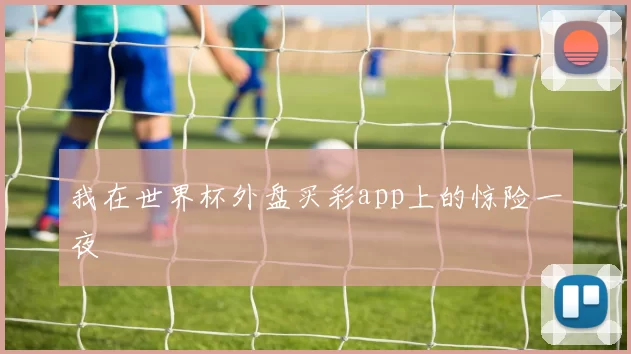 我在世界杯外盘买彩app上的惊险一夜