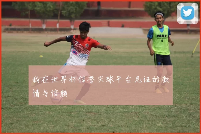 我在世界杯信誉买球平台见证的激情与信赖