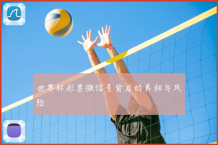 世界杯彩票微信号背后的真相与风险