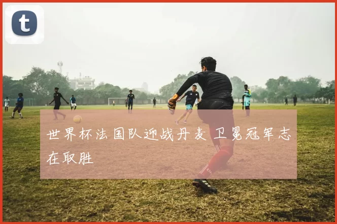 世界杯法国队迎战丹麦 卫冕冠军志在取胜