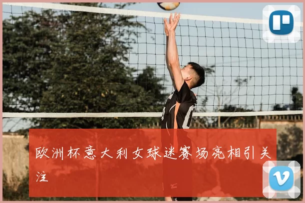 欧洲杯意大利女球迷赛场亮相引关注