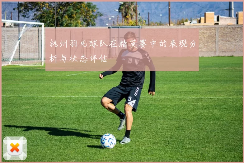杭州羽毛球队在精英赛中的表现分析与状态评估