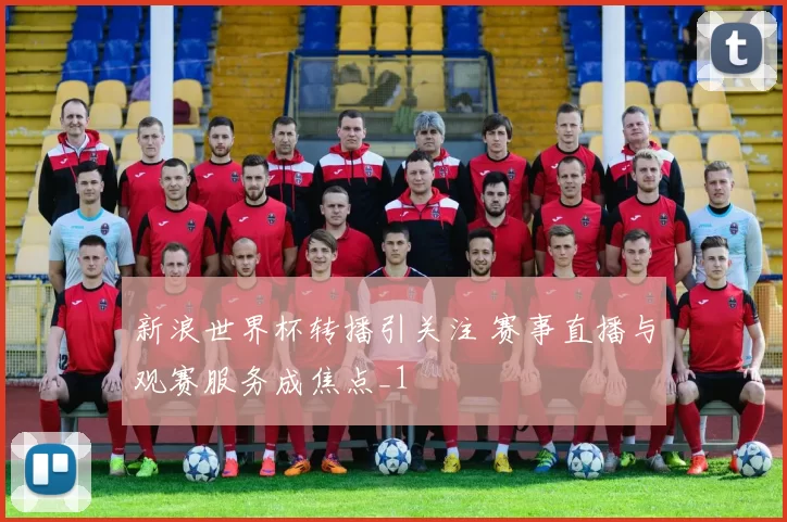 新浪世界杯转播引关注 赛事直播与观赛服务成焦点_1