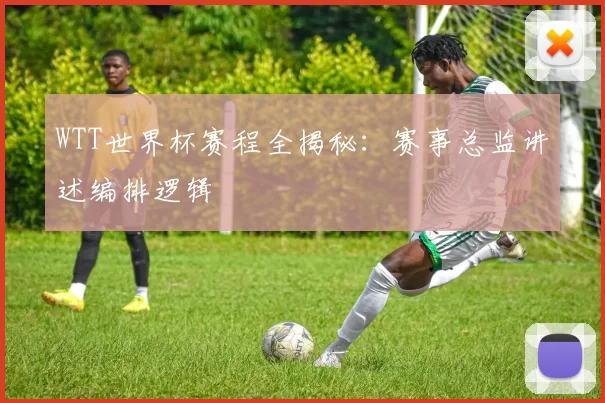 WTT世界杯赛程全揭秘：赛事总监讲述编排逻辑