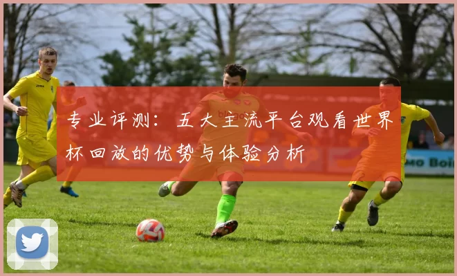 专业评测：五大主流平台观看世界杯回放的优势与体验分析