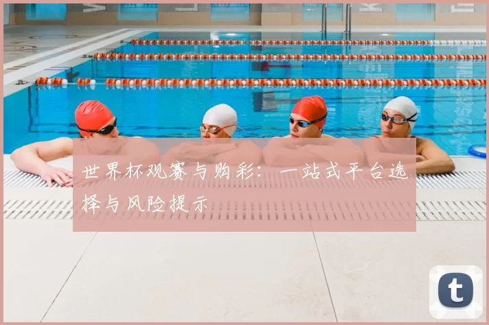 世界杯观赛与购彩:一站式平台选择与风险提示