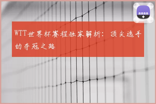 WTT世界杯赛程独家解析:顶尖选手的夺冠之路