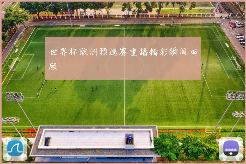 世界杯欧洲预选赛重播精彩瞬间回顾