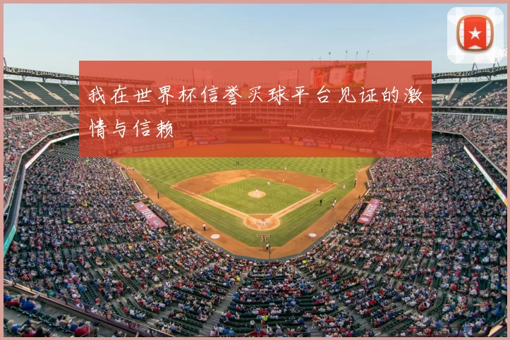 我在世界杯信誉买球平台见证的激情与信赖