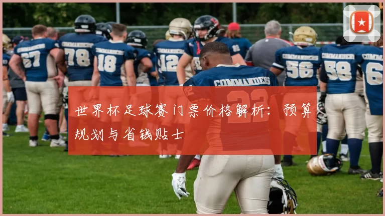 世界杯足球赛门票价格解析:预算规划与省钱贴士