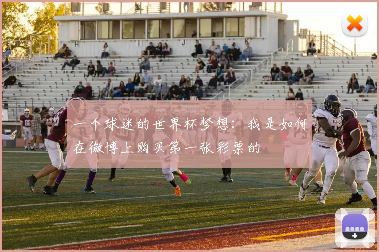 一个球迷的世界杯梦想：我是如何在微博上购买第一张彩票的