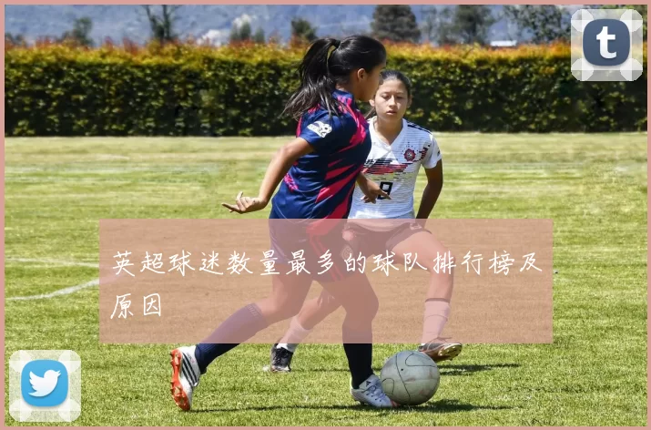 英超球迷数量最多的球队排行榜及原因