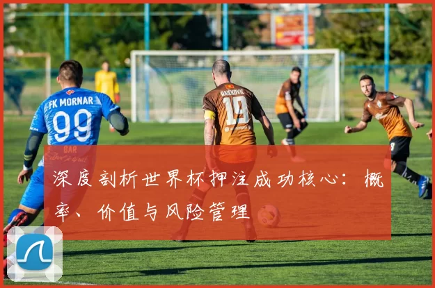 深度剖析世界杯押注成功核心:概率、价值与风险管理
