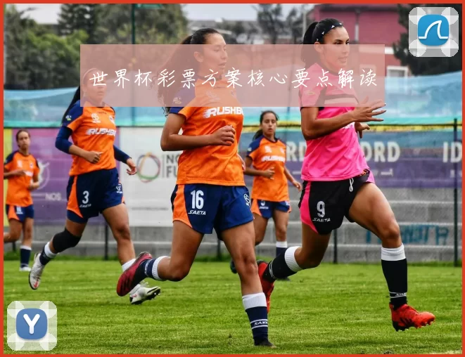 世界杯彩票方案核心要点解读