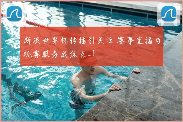 新浪世界杯转播引关注 赛事直播与观赛服务成焦点_1