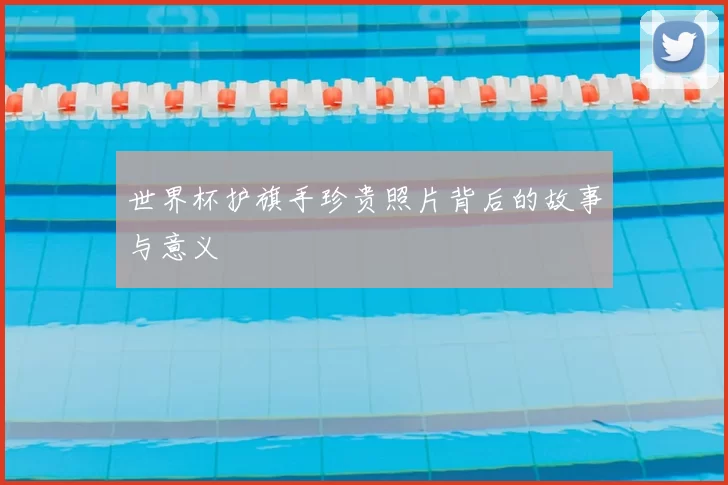 世界杯护旗手珍贵照片背后的故事与意义
