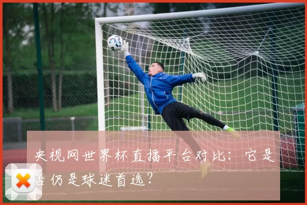 央视网世界杯直播平台对比：它是否仍是球迷首选？