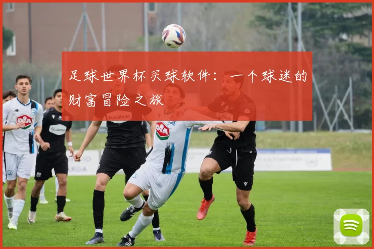 足球世界杯买球软件:一个球迷的财富冒险之旅