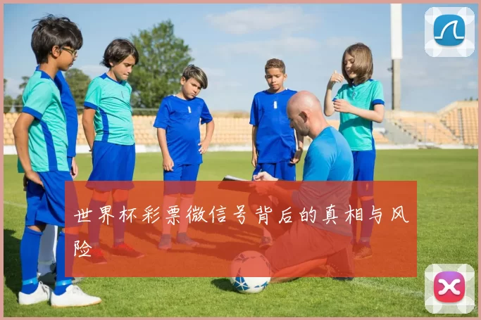 世界杯彩票微信号背后的真相与风险
