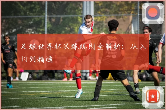 足球世界杯买球规则全解析:从入门到精通